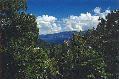 laketahoe1.jpg (64920 bytes)