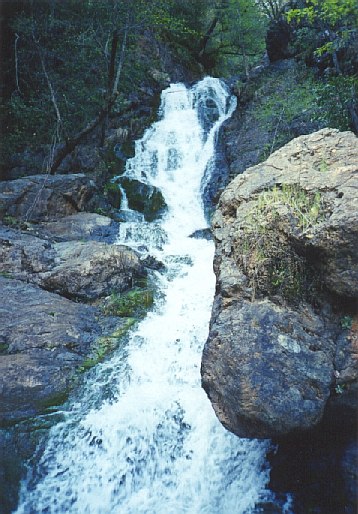 fallscodfishcreektrail.jpg (71223 bytes)